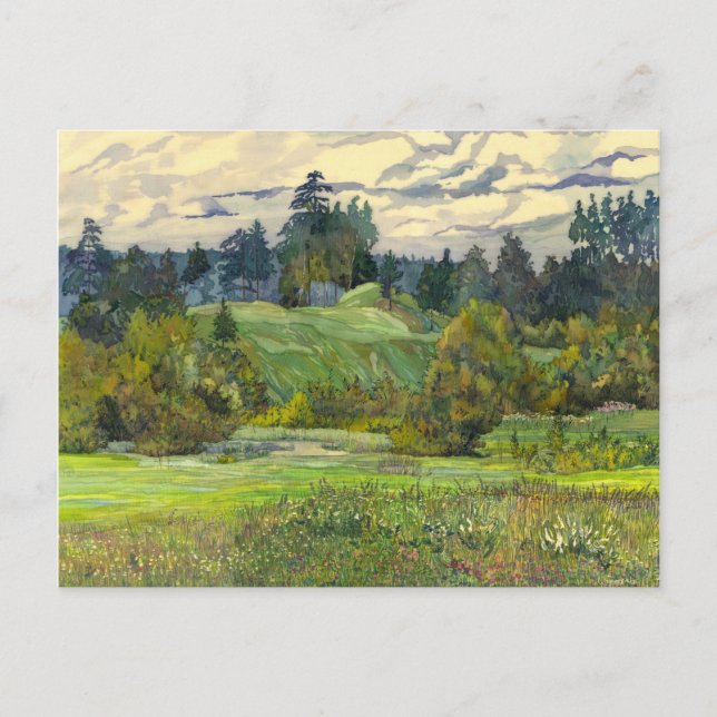 Carte Postale Pins (Devant)