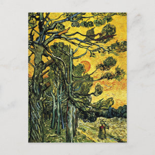 Carte Postale Pins contre un ciel rouge