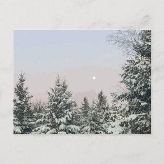 Carte Postale Pins couverts de neige Coucher de soleil sur la lu