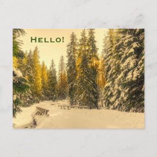 Carte Postale Pins couverts de neige Forêt Nature Photo Bonjour