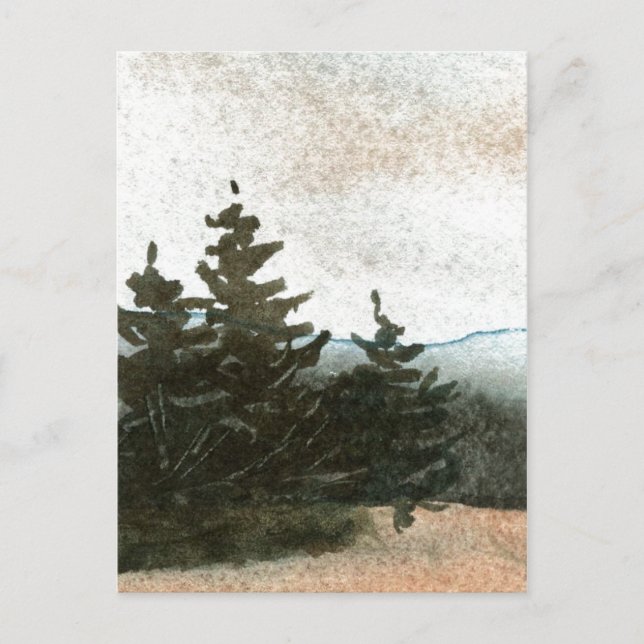 Carte postale "Pins de prairie" (Devant)