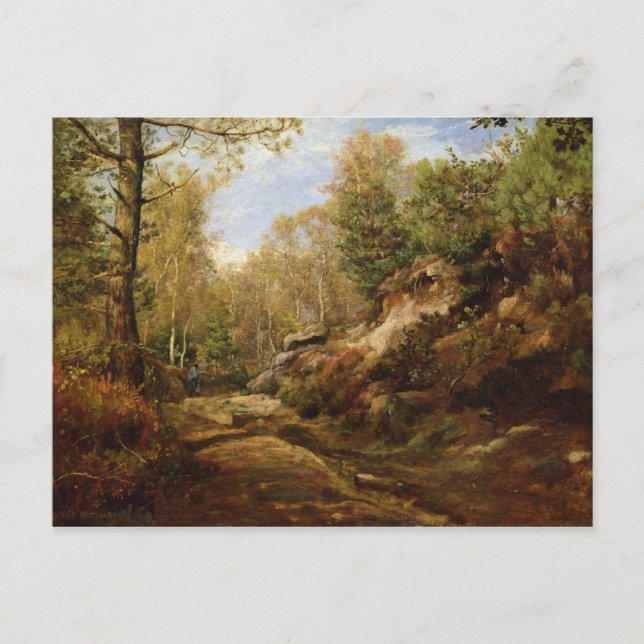Carte Postale Pins et bouleaux ou la forêt de (Devant)