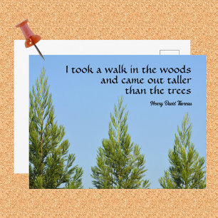 Carte Postale Pins et ciel Citation Thoreau Marche dans les bois