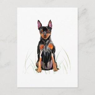 Carte postale Pinscher Nain, Min Pin