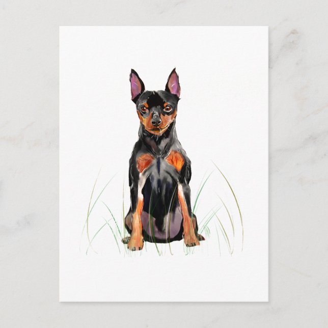 Carte postale Pinscher Nain, Min Pin (Devant)