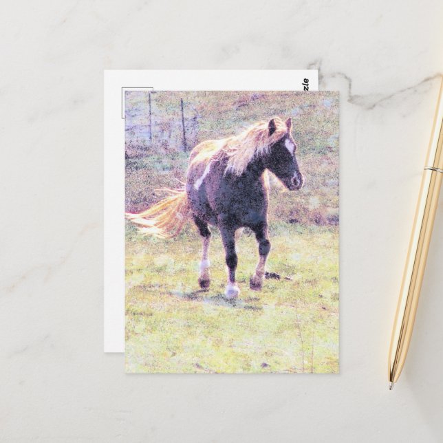 Carte Postale Pinto Pony (Devant/Arrière en situation)