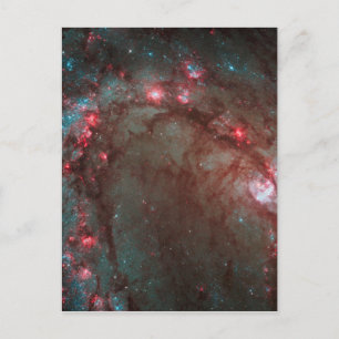 Carte Postale Pinwheel Sud