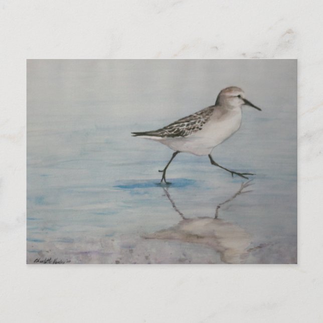 Carte postale Piper Bird Art Sable (Devant)