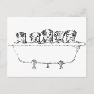 Carte Postale Pipettes Pitbull dans le bain - Illustration