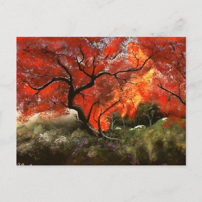 Carte Postale Pique-nique (Devant)