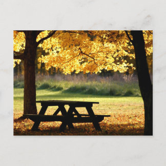 Carte Postale Pique-nique d'automne