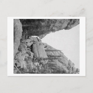 Carte Postale Pique-nique du dimanche à Gulch près de Custer Cit