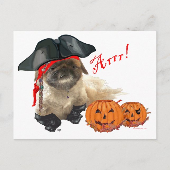 Carte Postale Pirate Toutou (Devant)