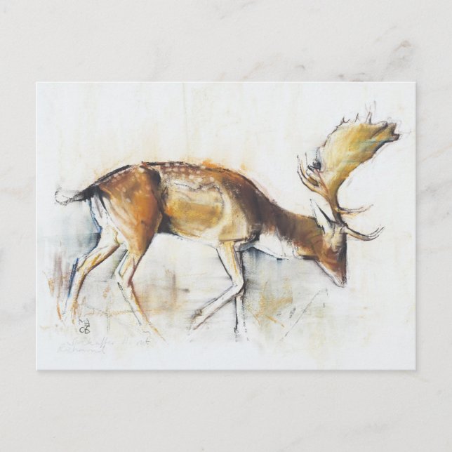 Carte Postale Pisanello Buck 2006 (Devant)