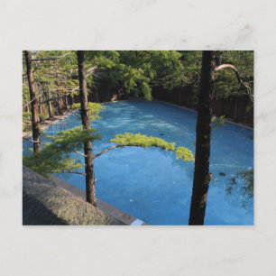Carte Postale Piscine calme - Fort Worth Water Garden # 3