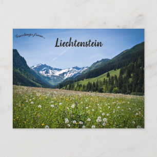 Carte Postale Pissenlits à Steg Liechtenstein