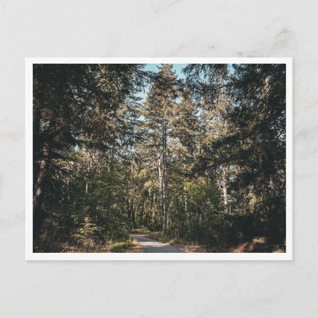 Carte Postale Piste (Devant)