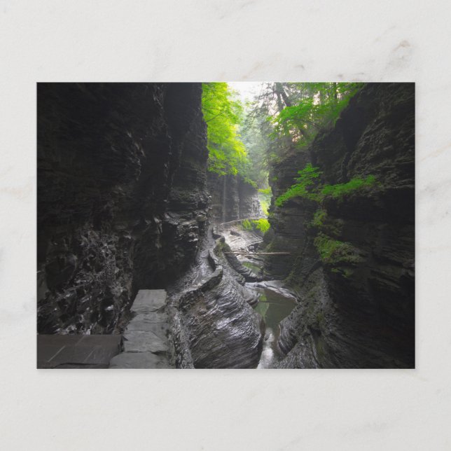 Carte Postale Piste à Watkins Glen, New York (Devant)