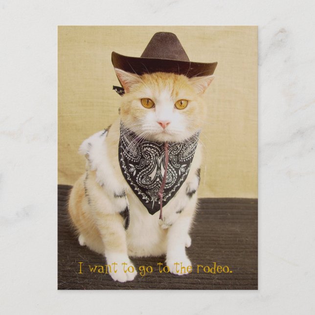 Carte Postale Piste Bubba (Devant)