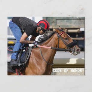 Carte Postale Piste d'entraînement du parc Belmont (1)