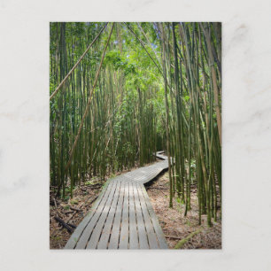 Carte Postale Piste Pipiwai, Parc national Haleakala, Maui