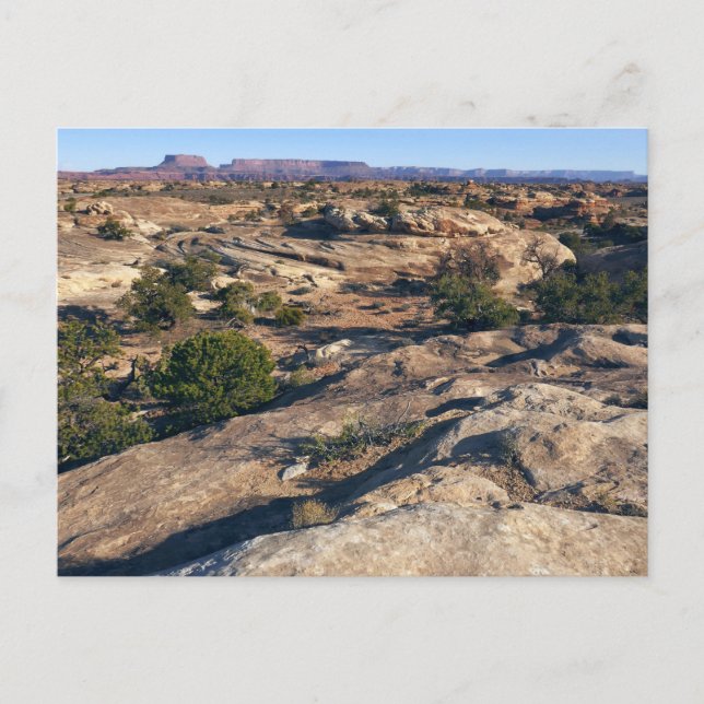 Carte Postale Piste Pothotel Point au parc national des Canyonla (Devant)