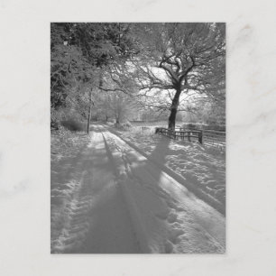 Carte Postale Pistes dans la neige : Cheshire