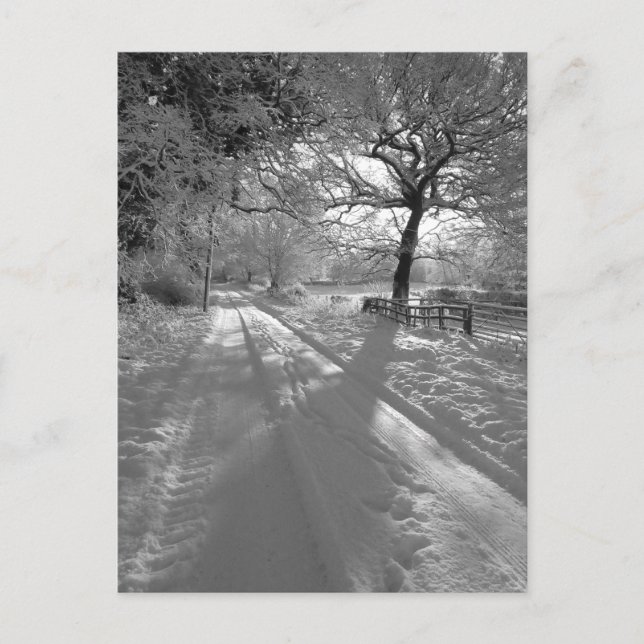 Carte Postale Pistes dans la neige : Cheshire (Devant)