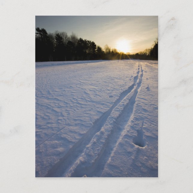 Carte Postale Pistes de ski à la réserve de Willowbrook Farm dan (Devant)