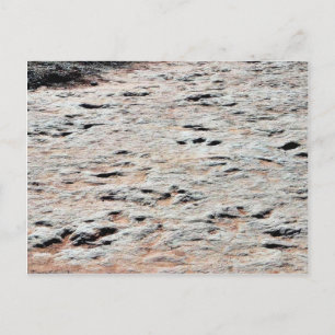 Carte Postale Pistes Dinosaures