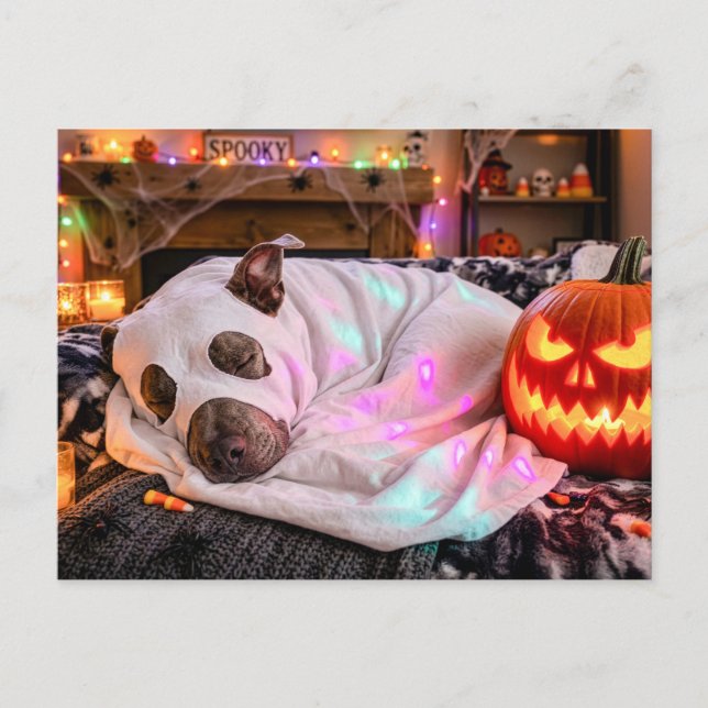 Carte Postale Pit Bull dormant en costume de fantôme Halloween (Devant)