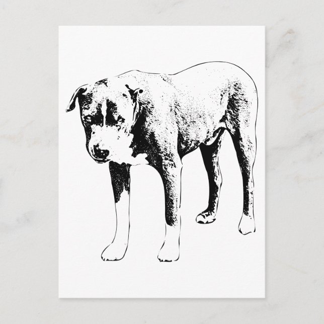 Carte Postale Pit Bull Post, Snow Day Hello (Devant)