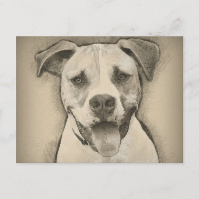 Carte Postale Pitbull - American Bulldog Pcrayon portrait croisé (Devant)