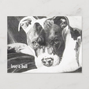 Carte Postale Pitbull Puppy au crayon 4 par Jacob Grimm