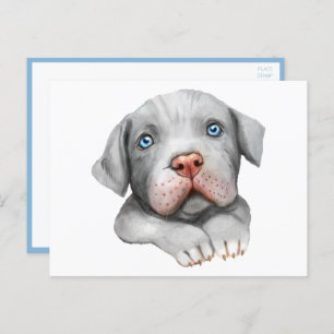 Carte Postale Pittie Puppy Chien Aimer Bonjour Pitbull