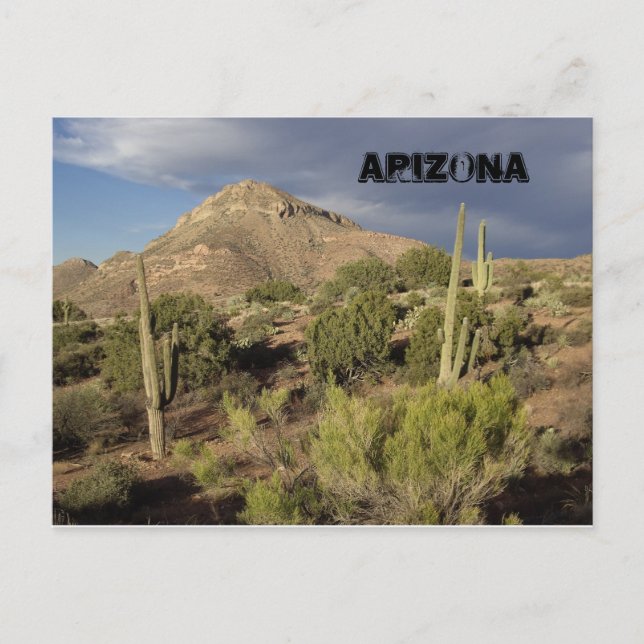 Carte postale Pittoresque Arizona (Devant)