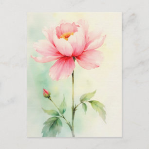 Carte Postale Pivoine rose