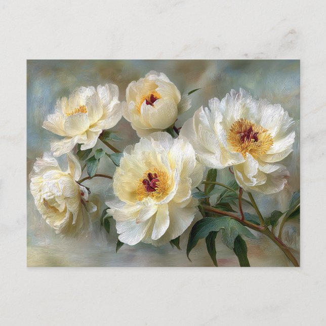 Carte Postale Pivoines blanches élégantes en fleurs (Devant)