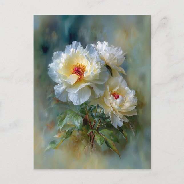 Carte Postale Pivoines blanches éthérées en fleurs (Devant)