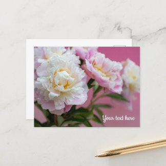 Carte Postale Pivoines roses