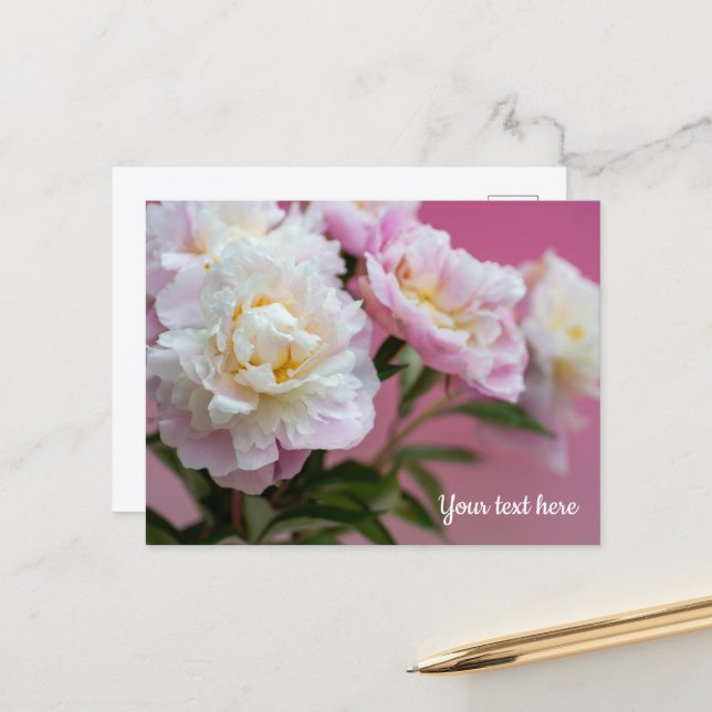 Carte Postale Pivoines roses (Devant/Arrière en situation)