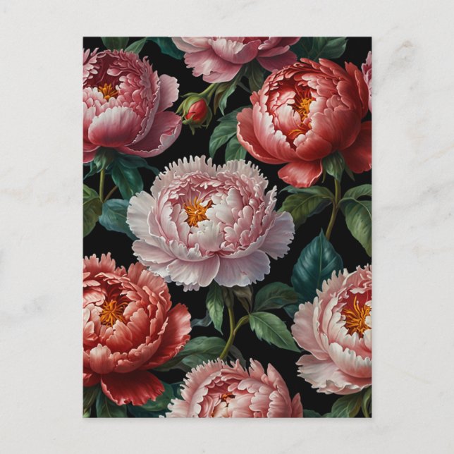 Carte Postale Pivoines roses (Devant)