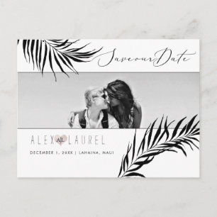 Carte Postale PixDezines Aquarelle Palmiers noirs, Enregistrez l