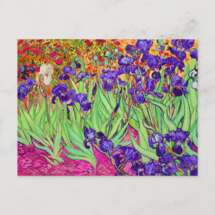 Carte Postale PixDezines van gogh iris/st. rémy