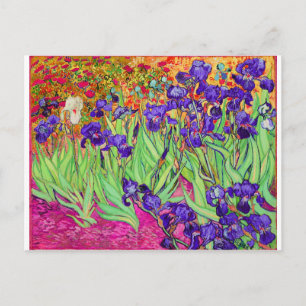 Carte Postale PixDezines van gogh iris/st. rémy