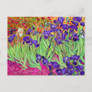 Carte Postale PixDezines van gogh iris/st. rémy