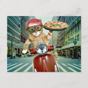 Carte Postale Pizza cat - chat - livraison de pizza