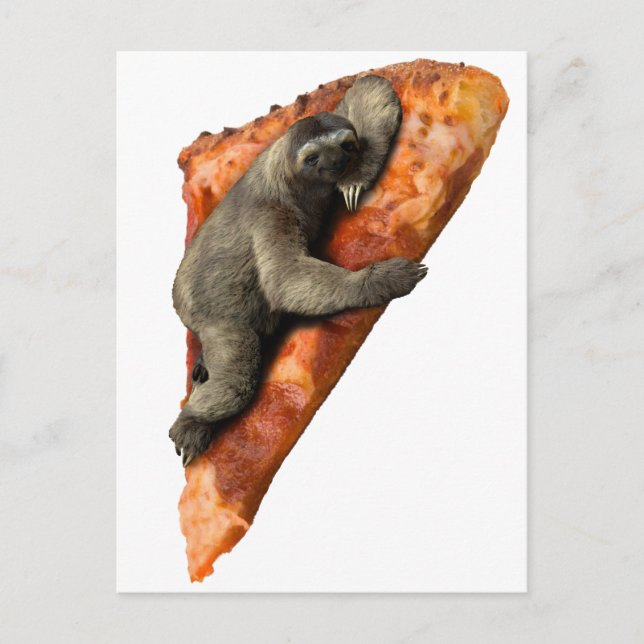 Carte Postale Pizza Sloth (Devant)