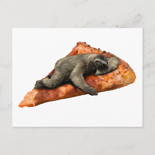 Carte Postale Pizza Sloth (Devant)