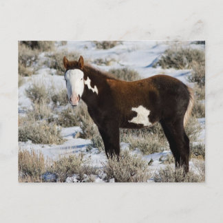 Carte Postale PJ La Peinture